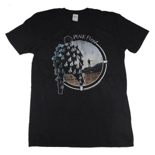 Pink Floyd - Delicate Sound of Thunder Official Fitted Jersey T Shirt ( Men M, L ) ***READY TO SHIP from Hong Kong***